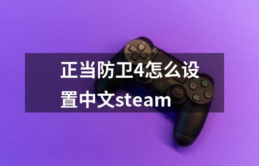 正当防卫4怎么设置中文steam-第1张-游戏信息-娜宝网