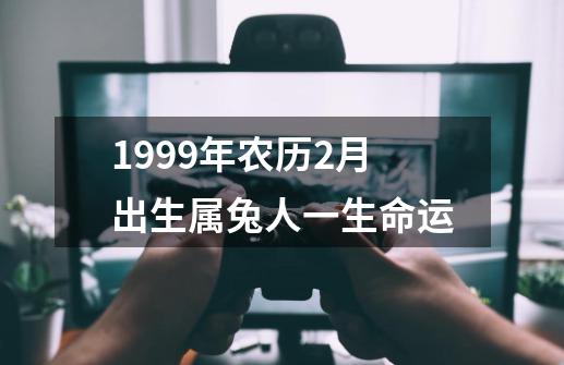 1999年农历2月出生属兔人一生命运-第1张-游戏信息-娜宝网