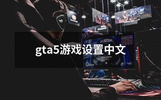 gta5游戏设置中文-第1张-游戏信息-娜宝网