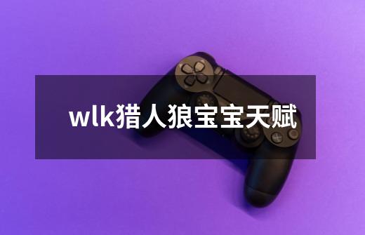 wlk猎人狼宝宝天赋-第1张-游戏信息-娜宝网