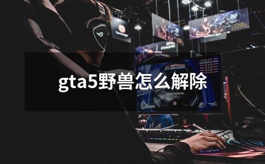 gta5野兽怎么解除-第1张-游戏信息-娜宝网