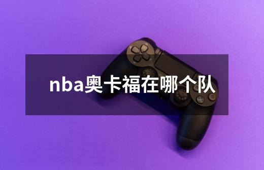 nba奥卡福在哪个队-第1张-游戏信息-娜宝网