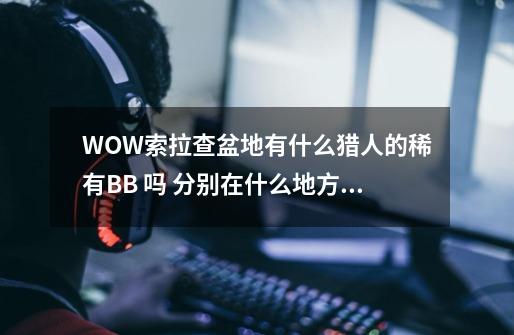 WOW索拉查盆地有什么猎人的稀有BB 吗 分别在什么地方分布出现_魔兽世界稀有宝宝大全地点-第1张-游戏信息-娜宝网