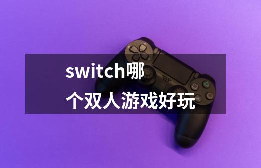 switch哪个双人游戏好玩-第1张-游戏信息-娜宝网