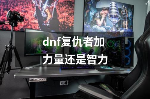 dnf复仇者加力量还是智力-第1张-游戏信息-娜宝网