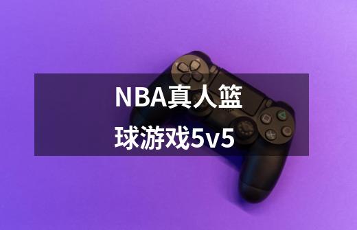 NBA真人篮球游戏5v5-第1张-游戏信息-娜宝网