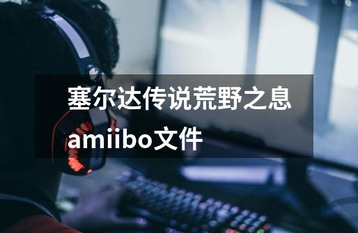 塞尔达传说荒野之息amiibo文件-第1张-游戏信息-娜宝网