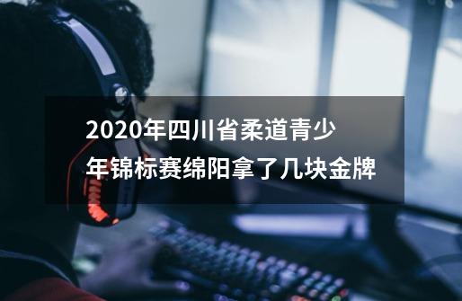 2020年四川省柔道青少年锦标赛绵阳拿了几块金牌-第1张-游戏信息-娜宝网