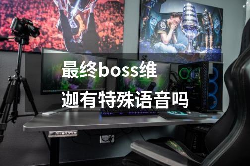 最终boss维迦有特殊语音吗-第1张-游戏信息-娜宝网