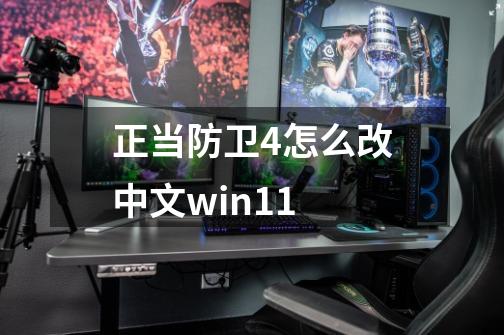 正当防卫4怎么改中文win11-第1张-游戏信息-娜宝网