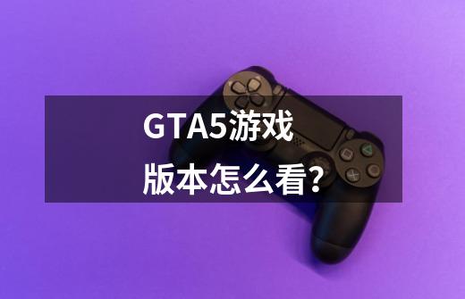 GTA5游戏版本怎么看？-第1张-游戏信息-娜宝网