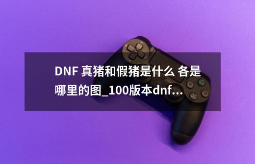 DNF 真猪和假猪是什么? 各是哪里的图?_100版本dnf真野猪图在哪-第1张-游戏信息-娜宝网