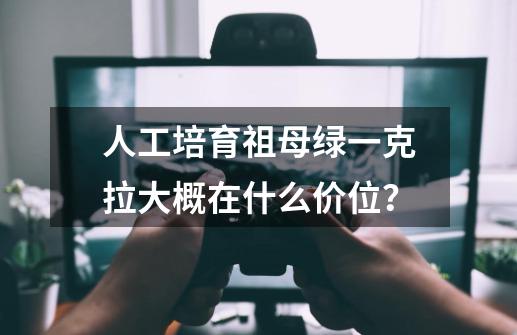 人工培育祖母绿一克拉大概在什么价位？-第1张-游戏信息-娜宝网