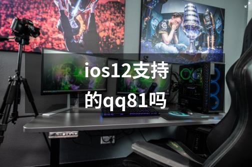 ios12支持的qq8.1吗-第1张-游戏信息-娜宝网