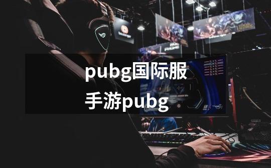 pubg国际服手游pubg-第1张-游戏信息-娜宝网