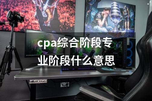 cpa综合阶段专业阶段什么意思-第1张-游戏信息-娜宝网