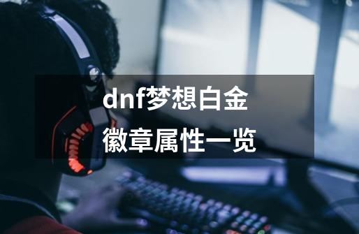 dnf梦想白金徽章属性一览-第1张-游戏信息-娜宝网