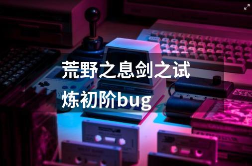 荒野之息剑之试炼初阶bug-第1张-游戏信息-娜宝网