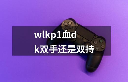 wlkp1血dk双手还是双持-第1张-游戏信息-娜宝网