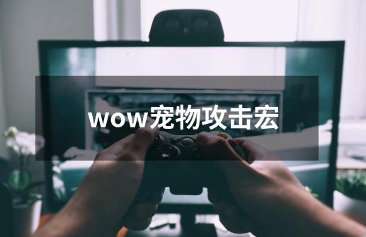 wow宠物攻击宏-第1张-游戏信息-娜宝网