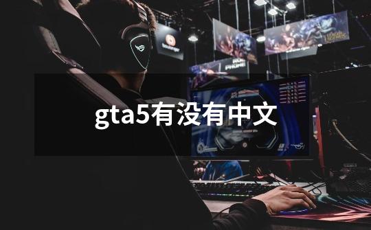 gta5有没有中文-第1张-游戏信息-娜宝网