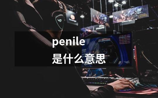 penile是什么意思-第1张-游戏信息-娜宝网