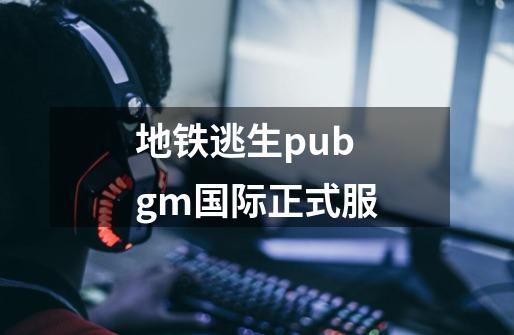 地铁逃生pubgm国际正式服-第1张-游戏信息-娜宝网