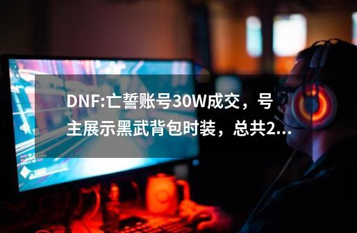 DNF:亡誓账号30W成交，号主展示黑武背包时装，总共29套天空秀-第1张-游戏信息-娜宝网