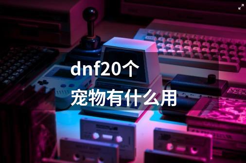 dnf20个宠物有什么用-第1张-游戏信息-娜宝网