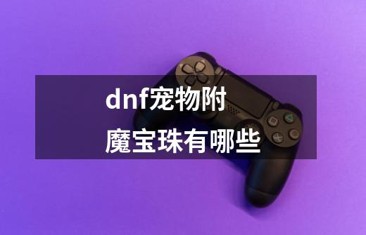 dnf宠物附魔宝珠有哪些-第1张-游戏信息-娜宝网