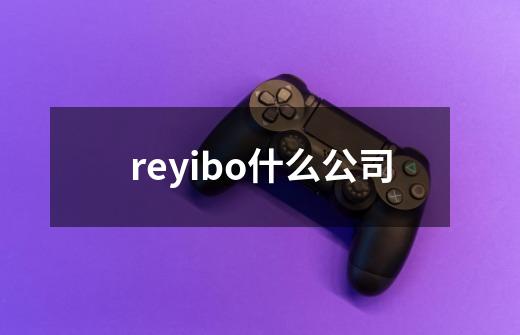 reyibo什么公司-第1张-游戏信息-娜宝网