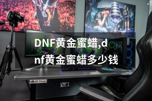 DNF黄金蜜蜡,dnf黄金蜜蜡多少钱-第1张-游戏信息-娜宝网