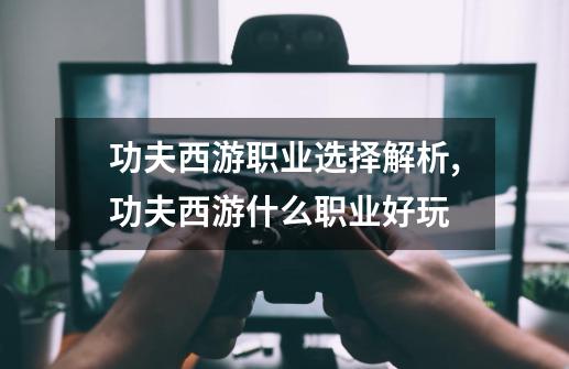 功夫西游职业选择解析,功夫西游什么职业好玩-第1张-游戏信息-娜宝网