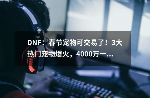 DNF：春节宠物可交易了！3大热门宠物爆火，4000万一只圣麒麟-第1张-游戏信息-娜宝网