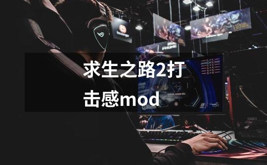 求生之路2打击感mod-第1张-游戏信息-娜宝网