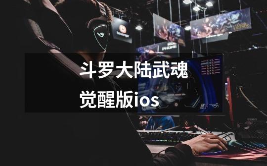 斗罗大陆武魂觉醒版ios-第1张-游戏信息-娜宝网