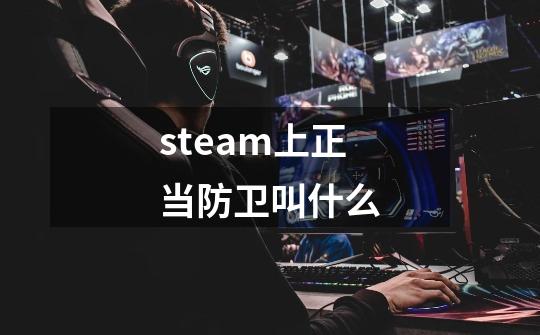 steam上正当防卫叫什么-第1张-游戏信息-娜宝网