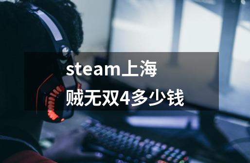 steam上海贼无双4多少钱-第1张-游戏信息-娜宝网