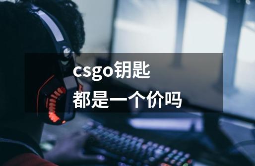 csgo钥匙都是一个价吗-第1张-游戏信息-娜宝网