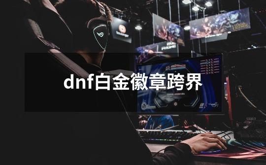 dnf白金徽章跨界-第1张-游戏信息-娜宝网