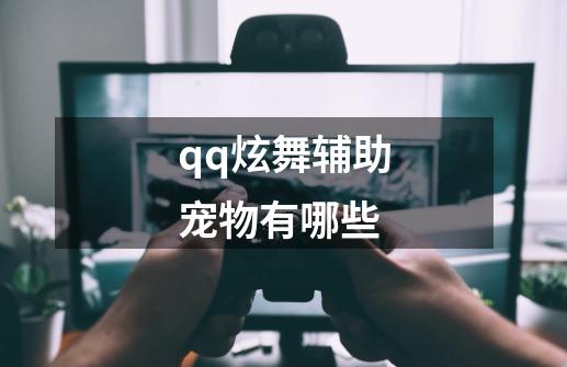 qq炫舞辅助宠物有哪些-第1张-游戏信息-娜宝网